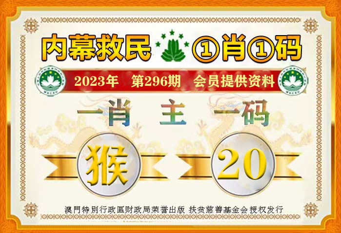 一肖一码100%-中,精选资料解析大全