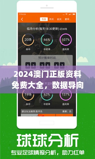 新奥彩2024免费资料查询,精选资料解析大全