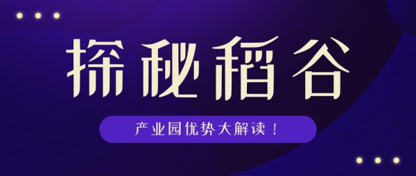 探索宜昌招聘新纪元，58同城宜昌网招聘的独特优势与未来展望